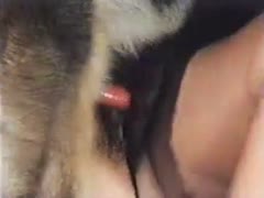 A cougar engulfs and bangs her puppy in this entertaining xx beast fucking film.